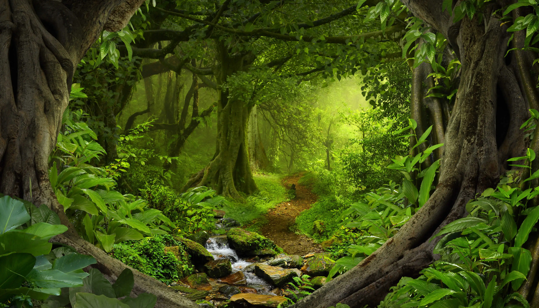 forest1b
